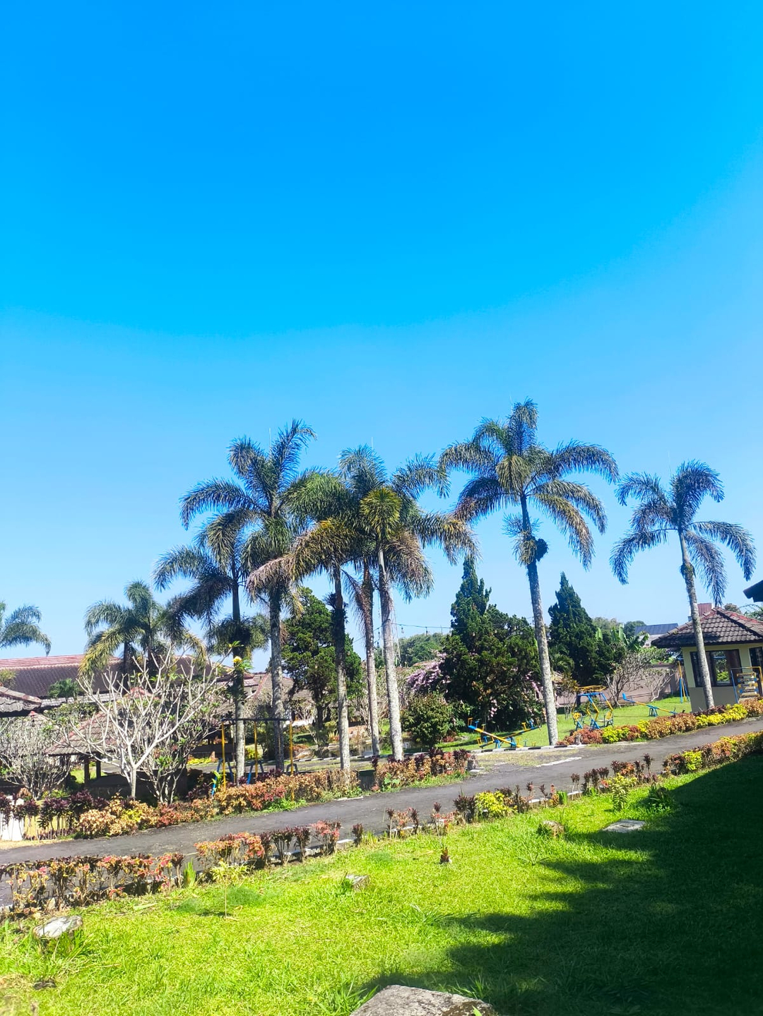 userImage-15
