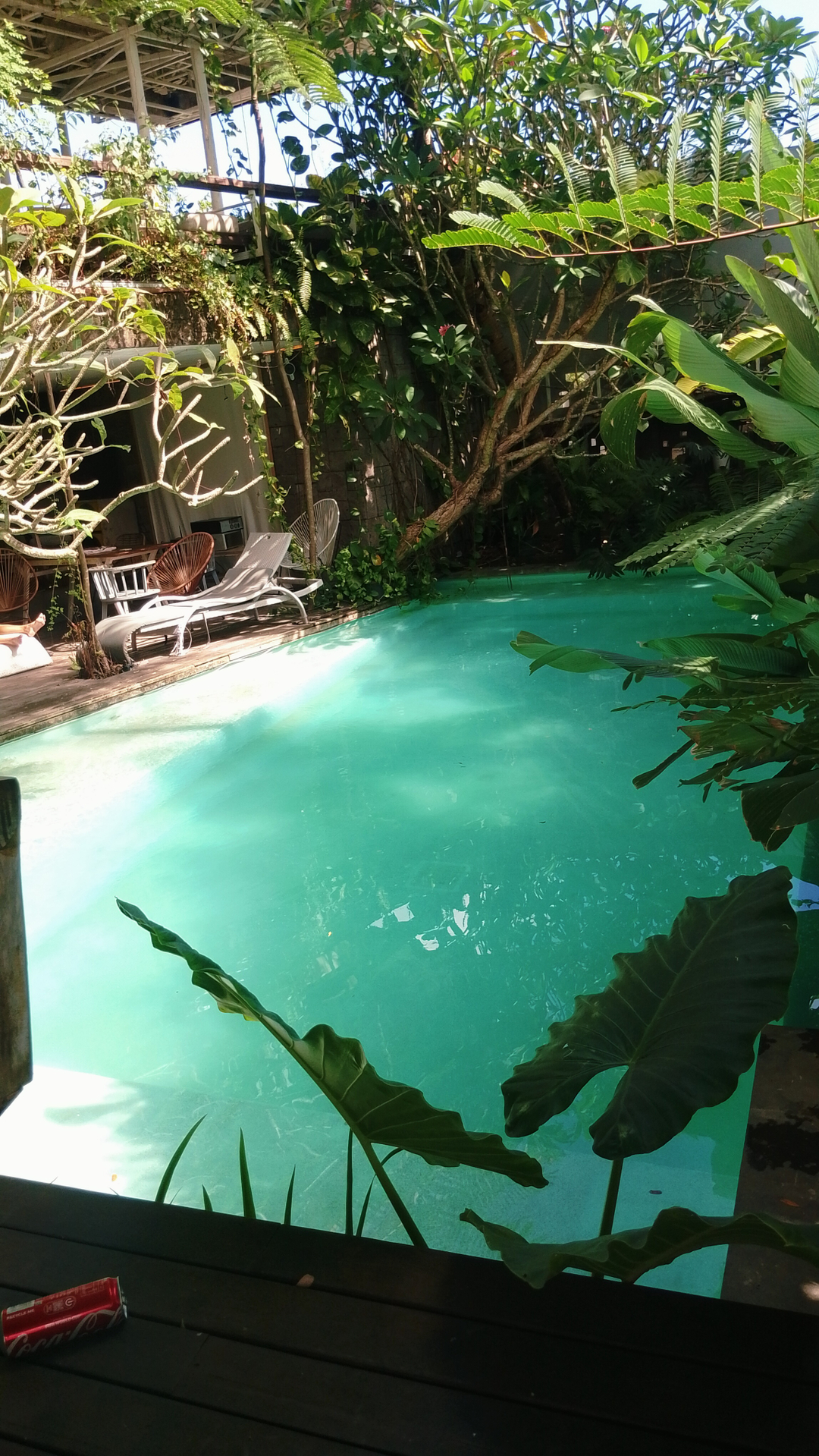 userImage-8