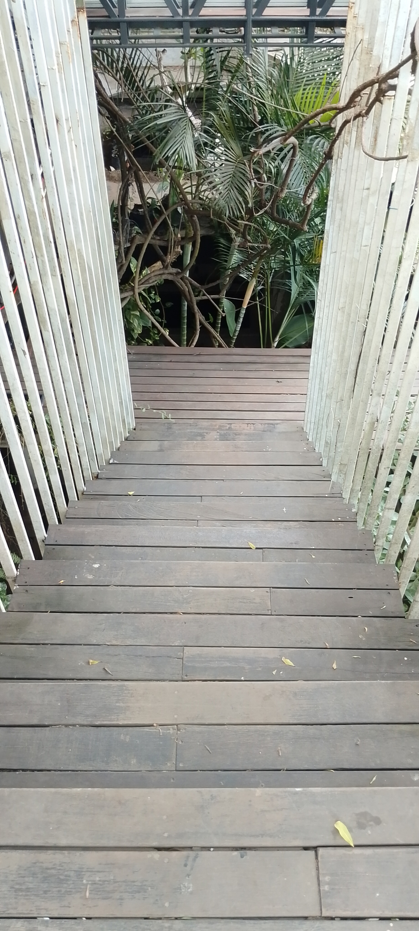 userImage-7
