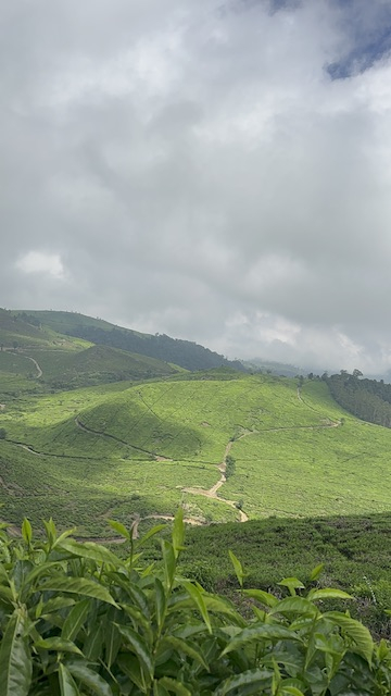 userImage-4