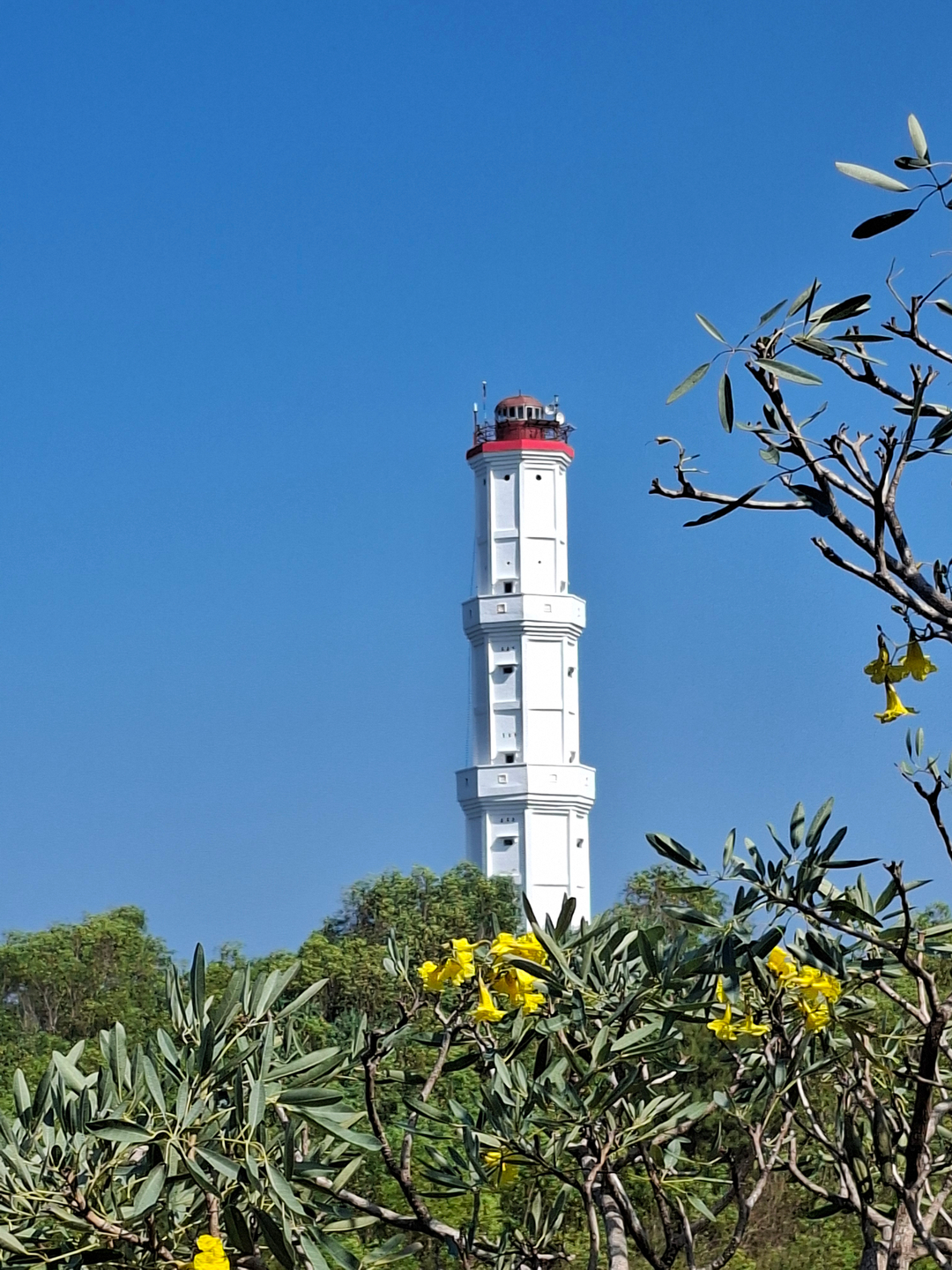userImage-11