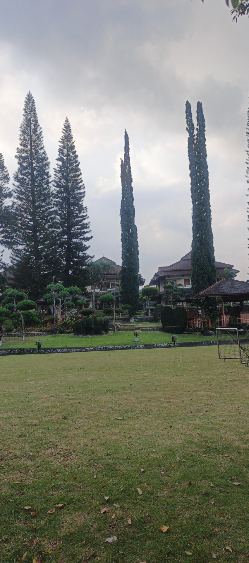 userImage-11