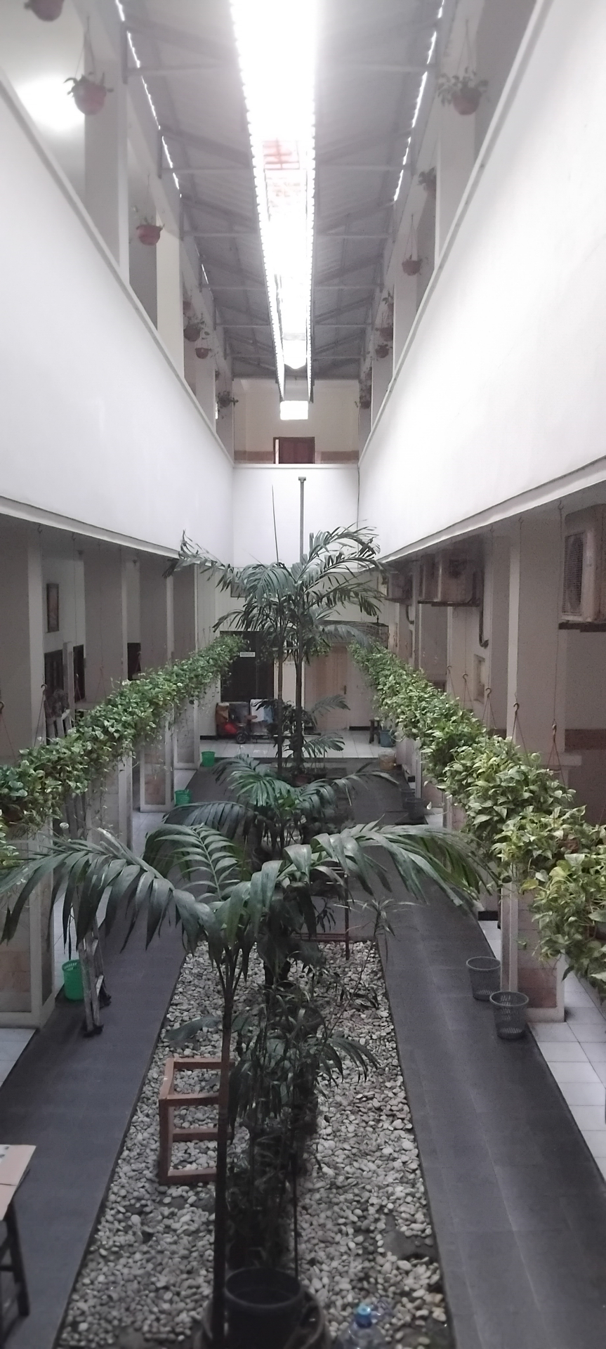 userImage-9