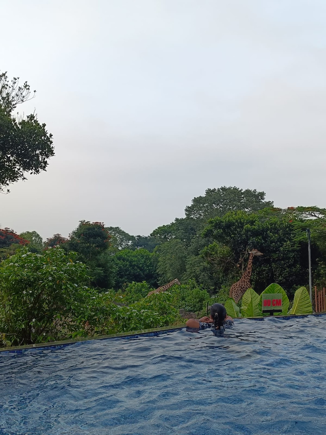userImage-6