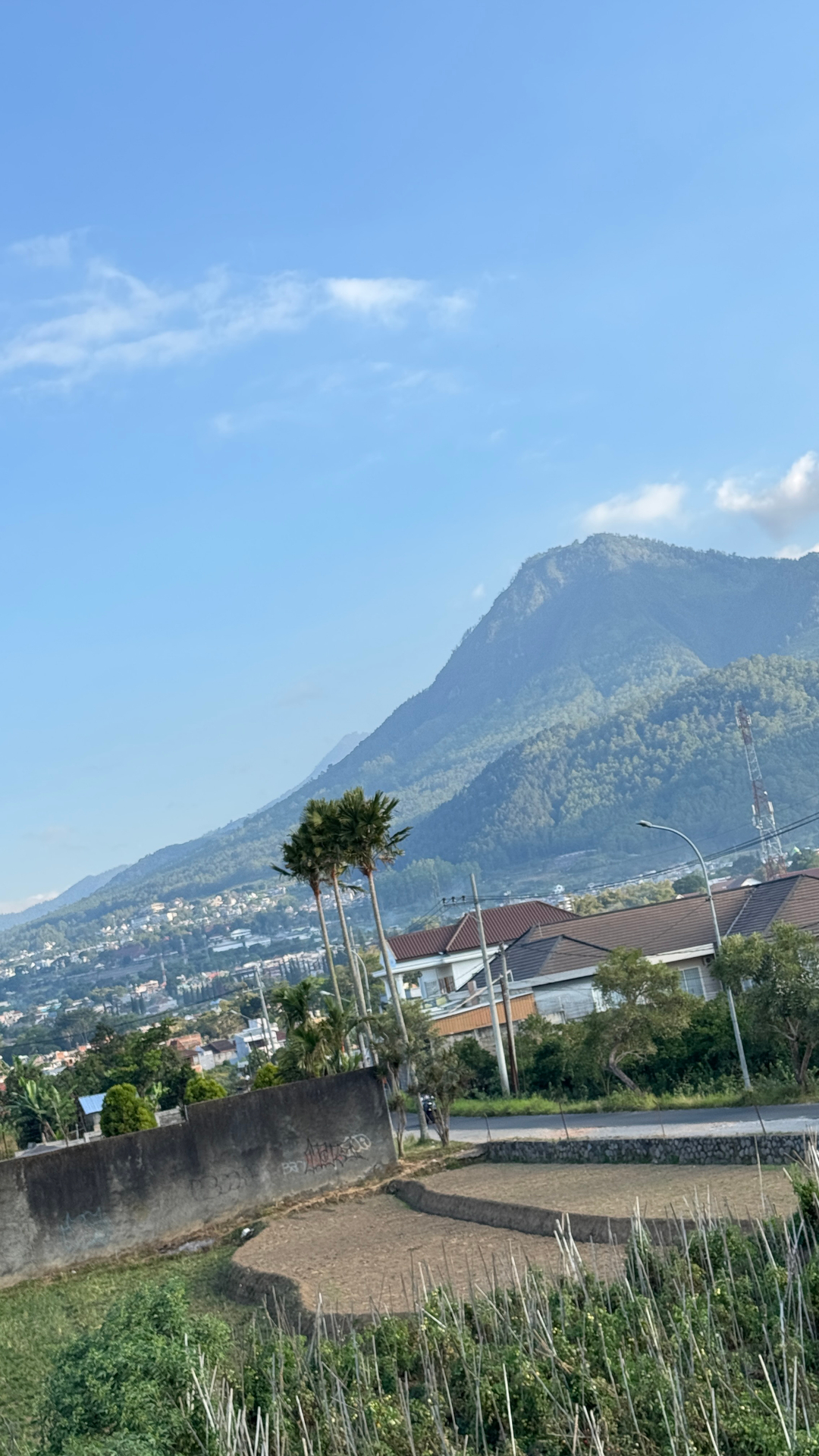 userImage-6