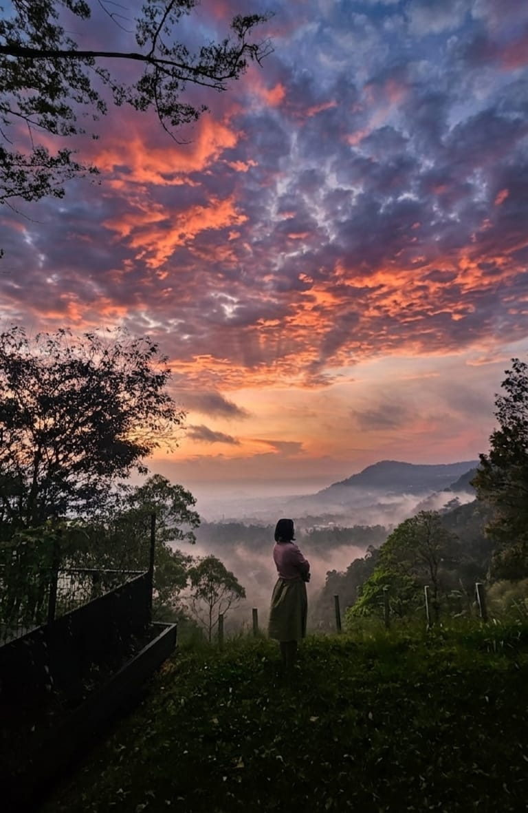 userImage-3