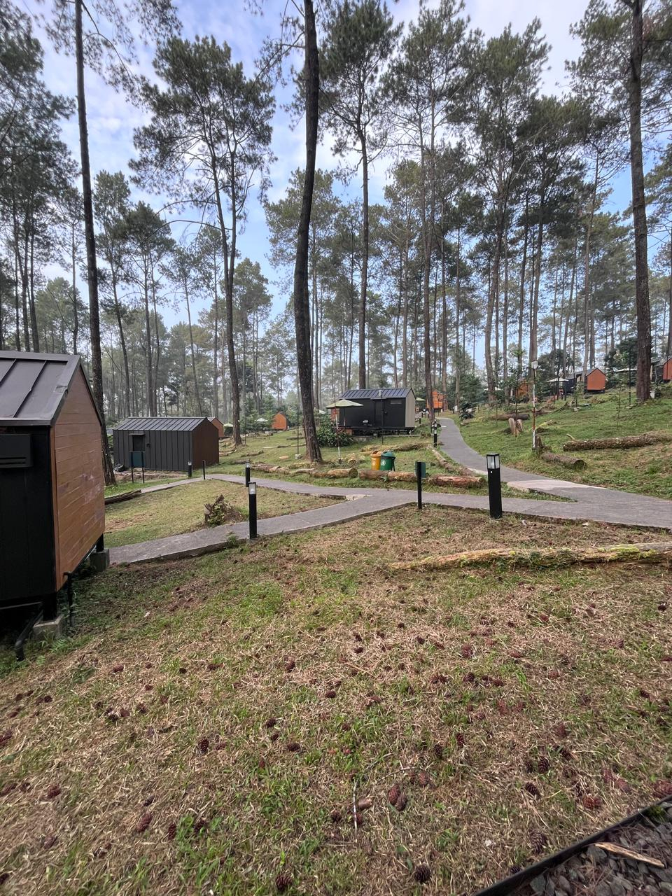 userImage-3