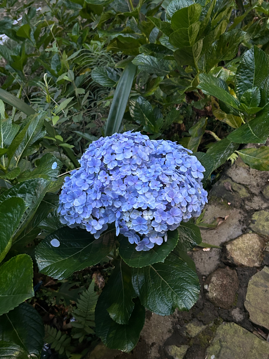 userImage-4