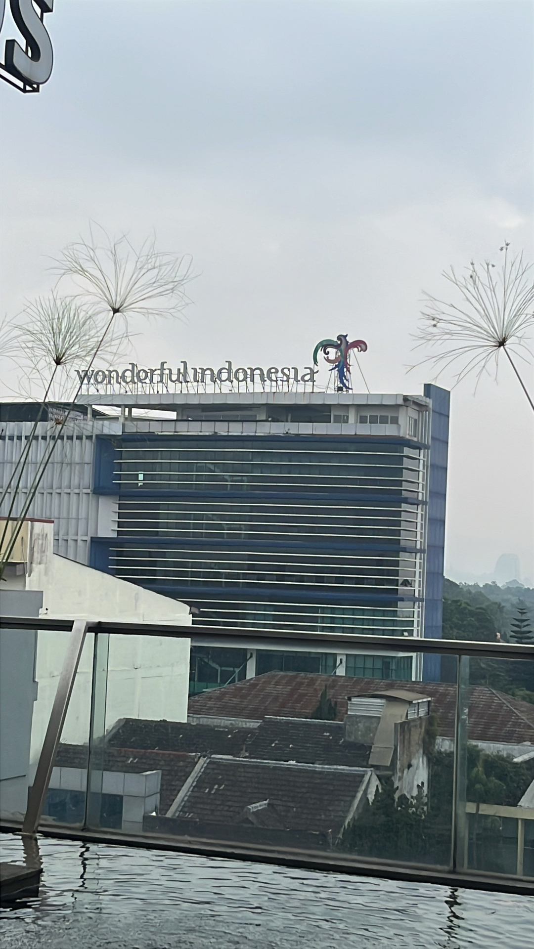 userImage-6