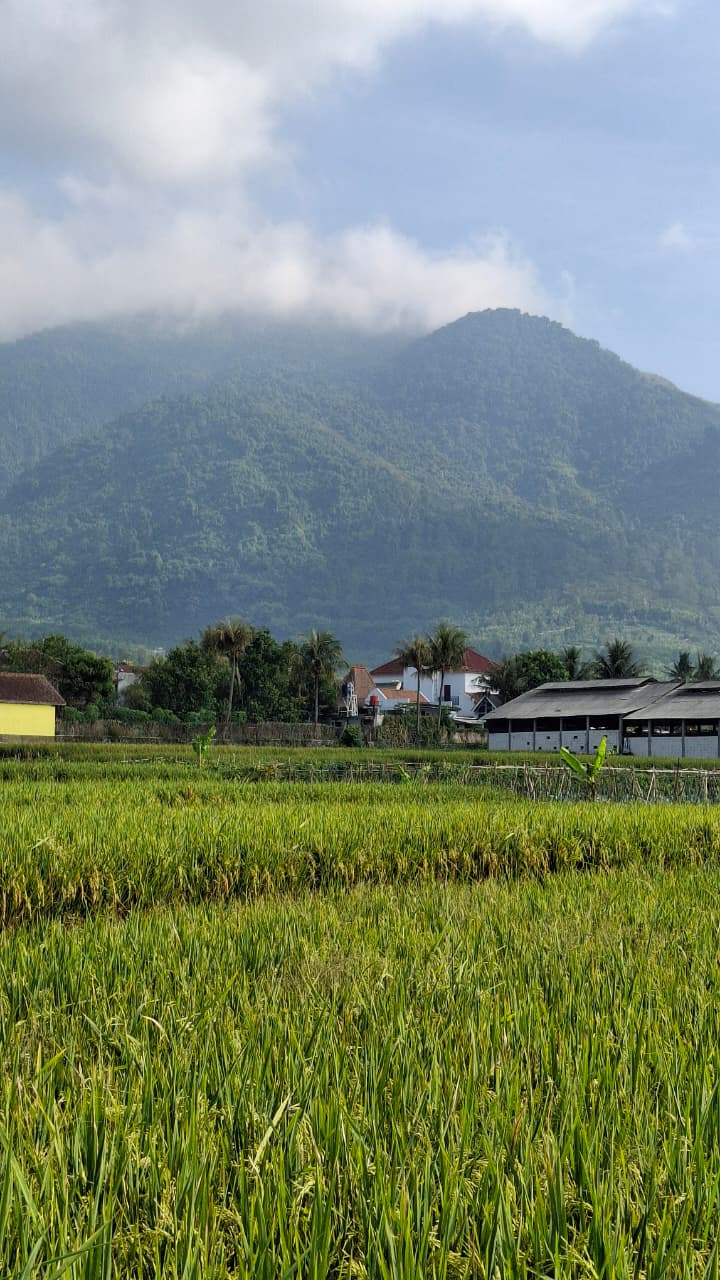 userImage-9