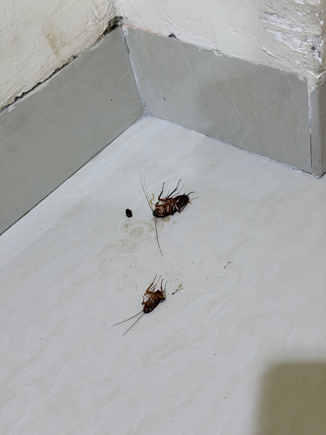 userImage-8