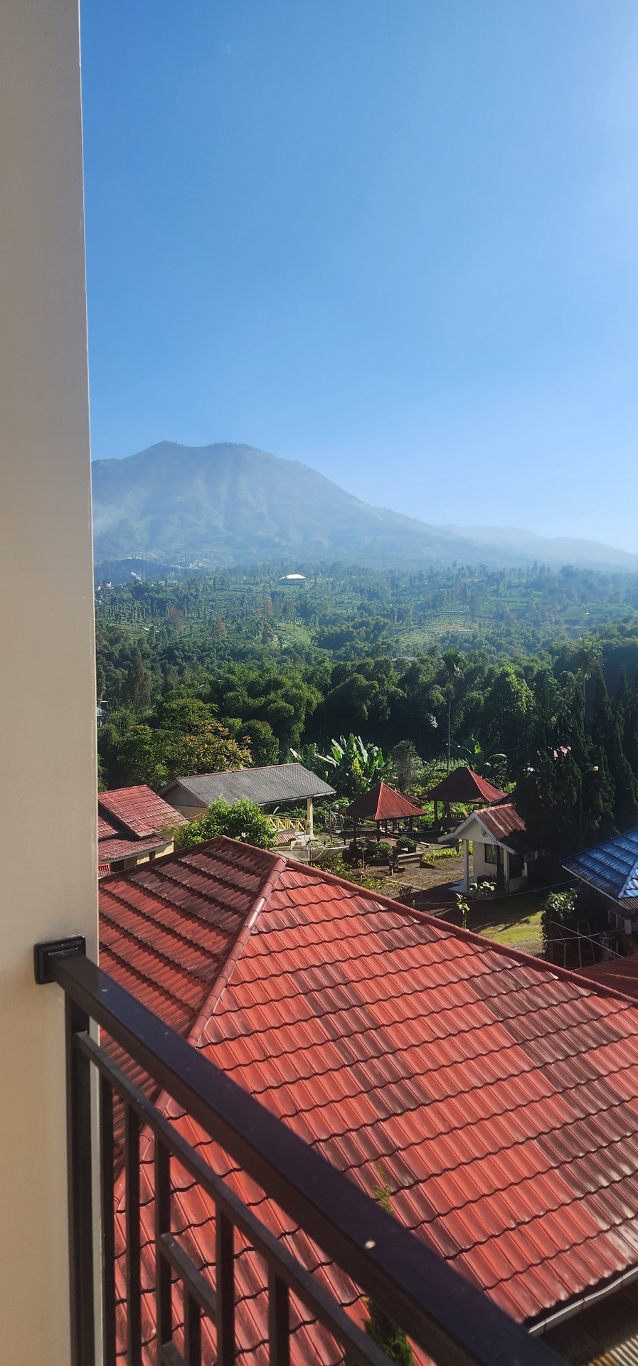userImage-10