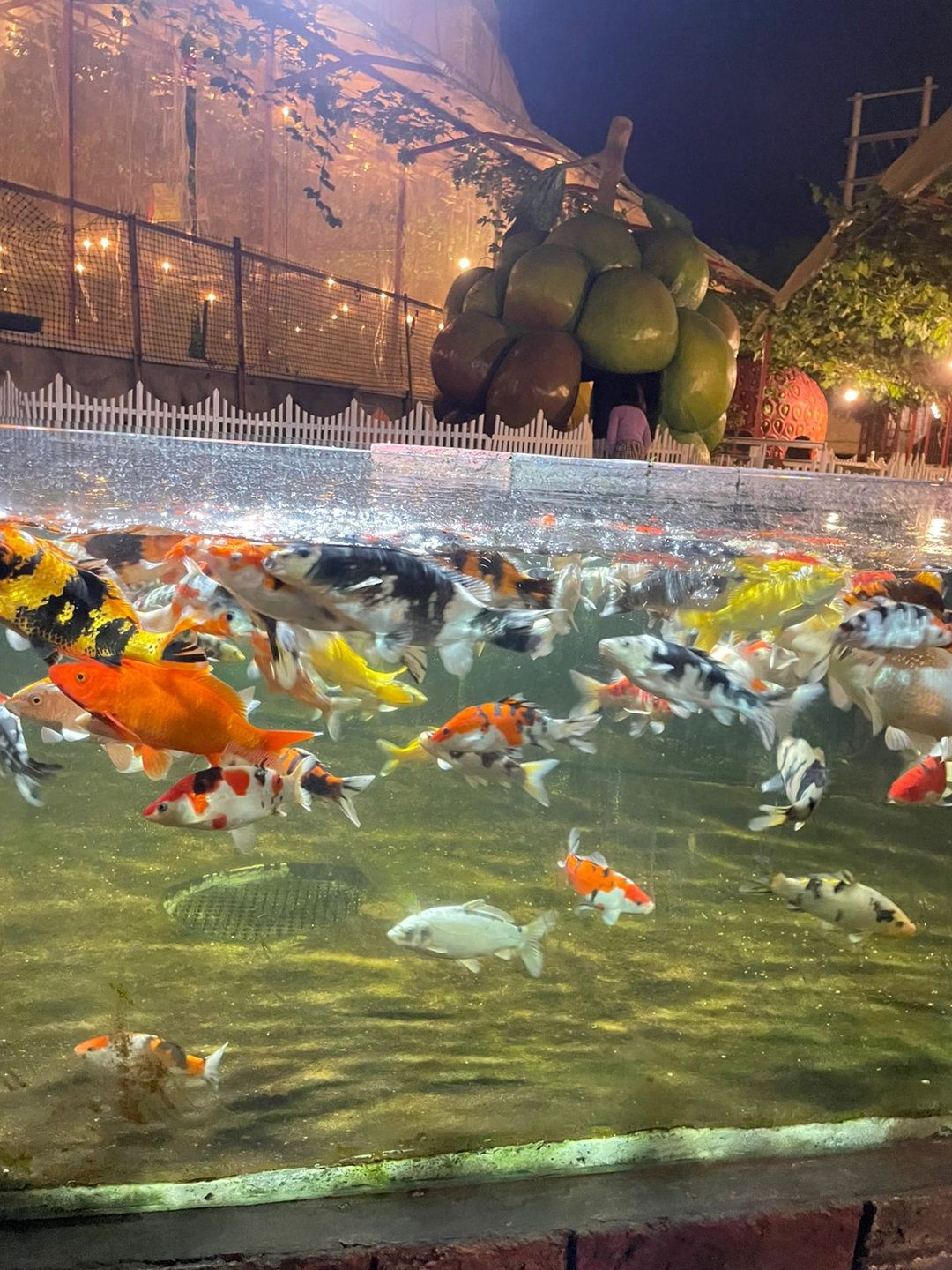 userImage-1