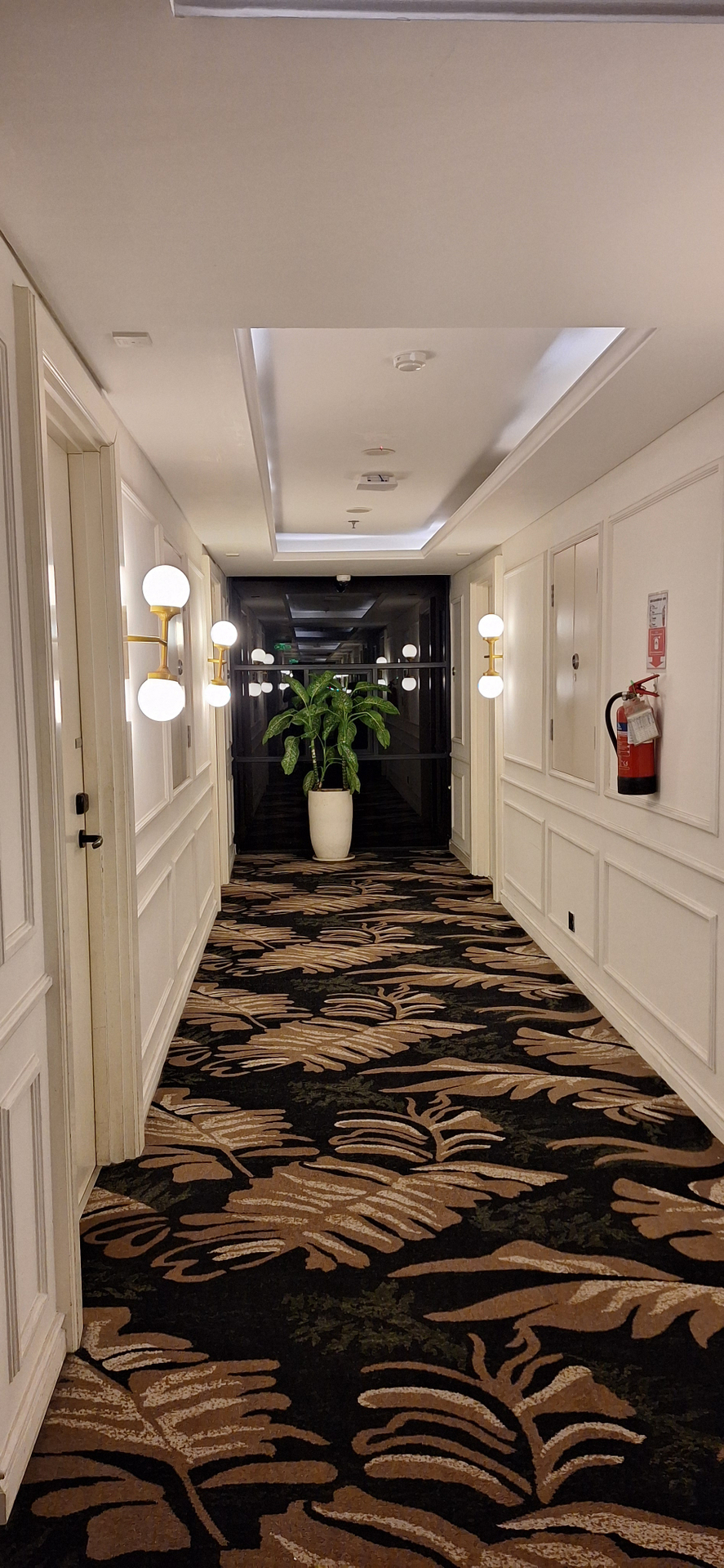 userImage-1