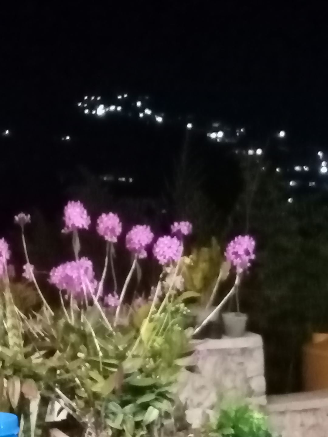 userImage-9