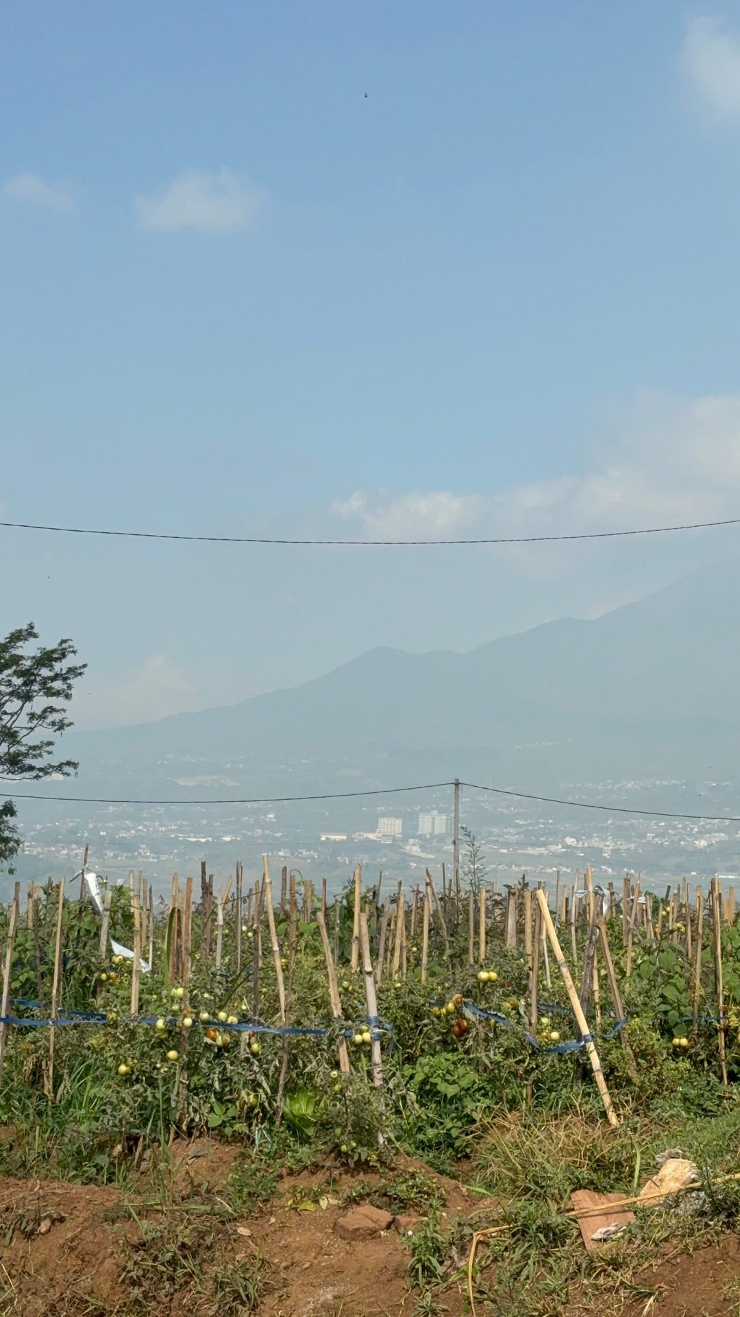 userImage-9