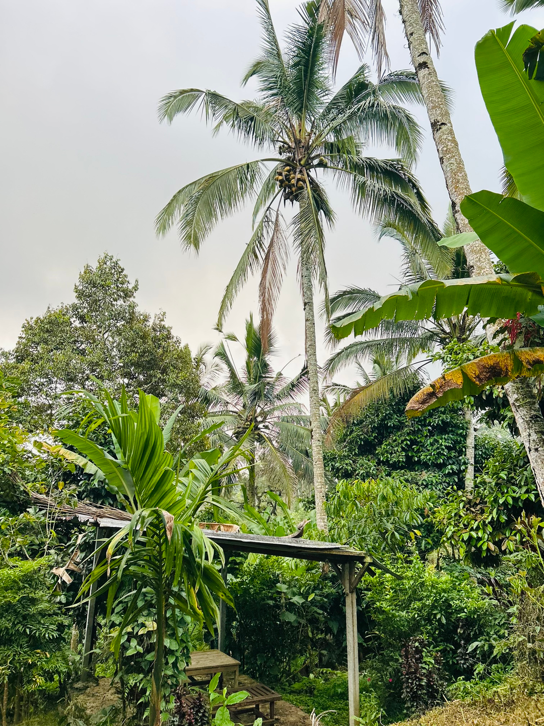 userImage-12