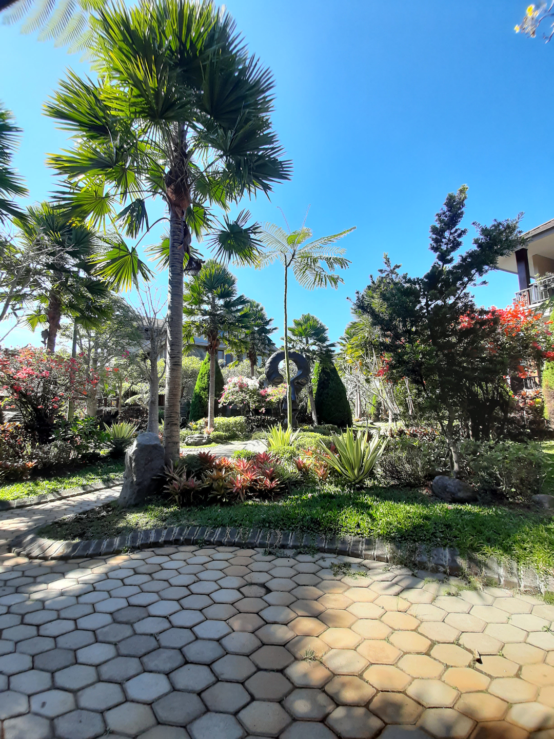 userImage-4
