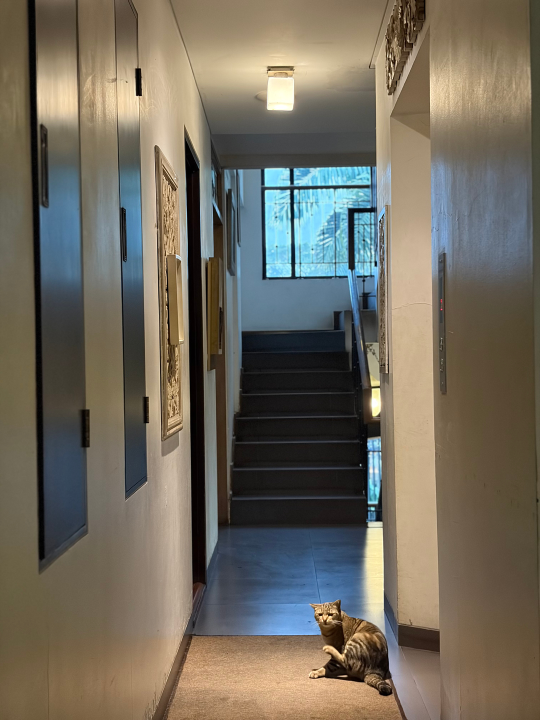 userImage-6