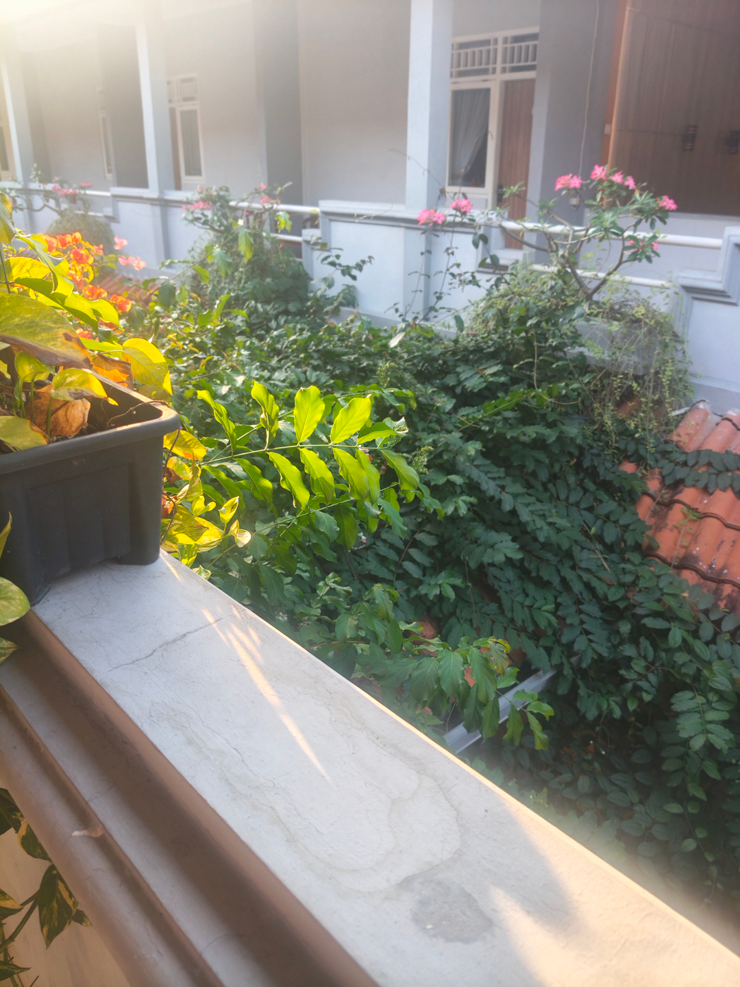 userImage-18