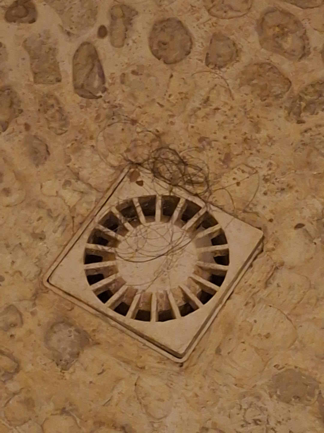 userImage-1
