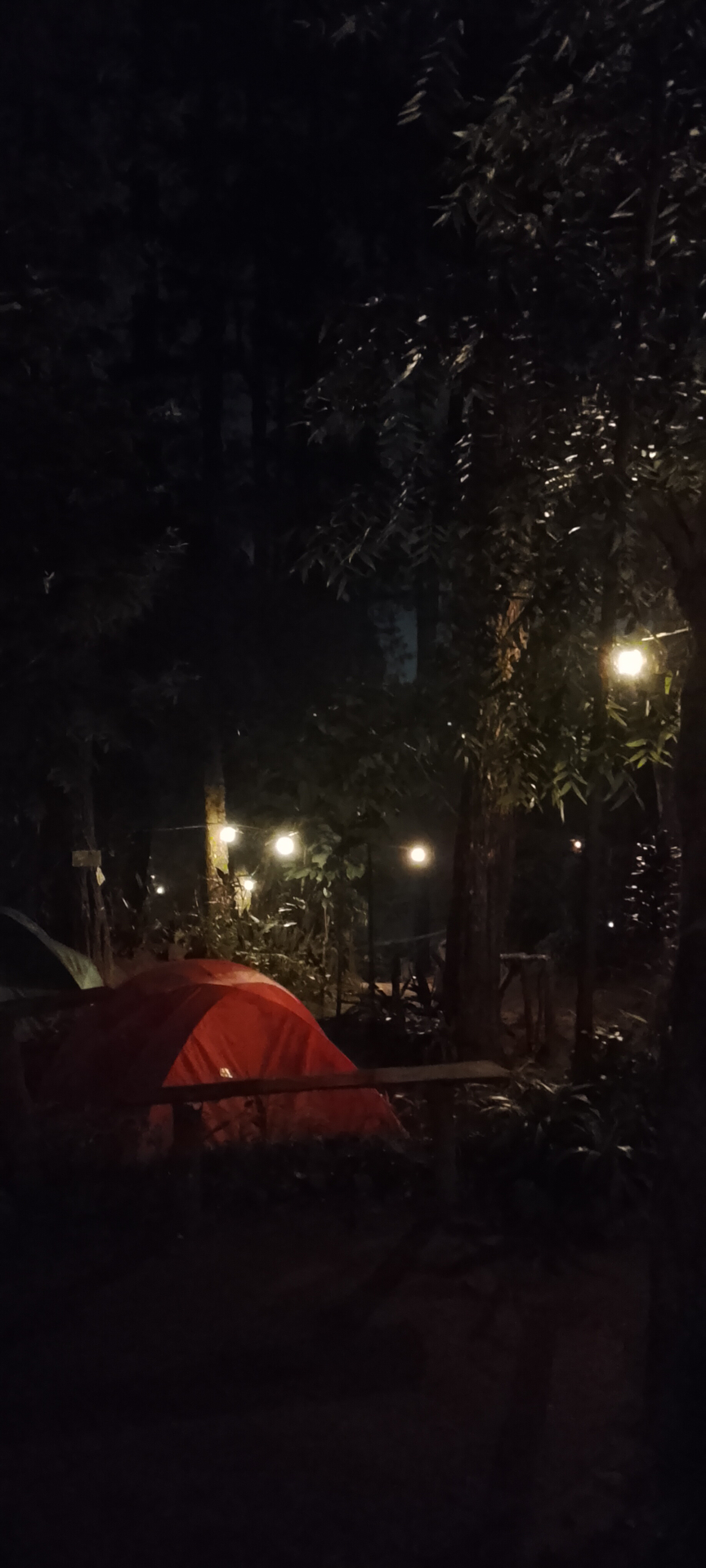 userImage-1