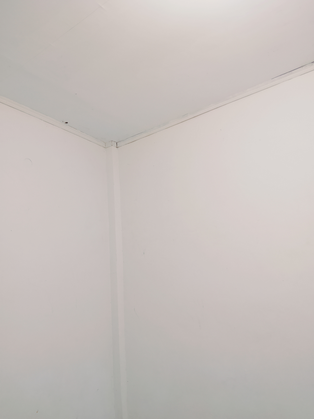 userImage-1