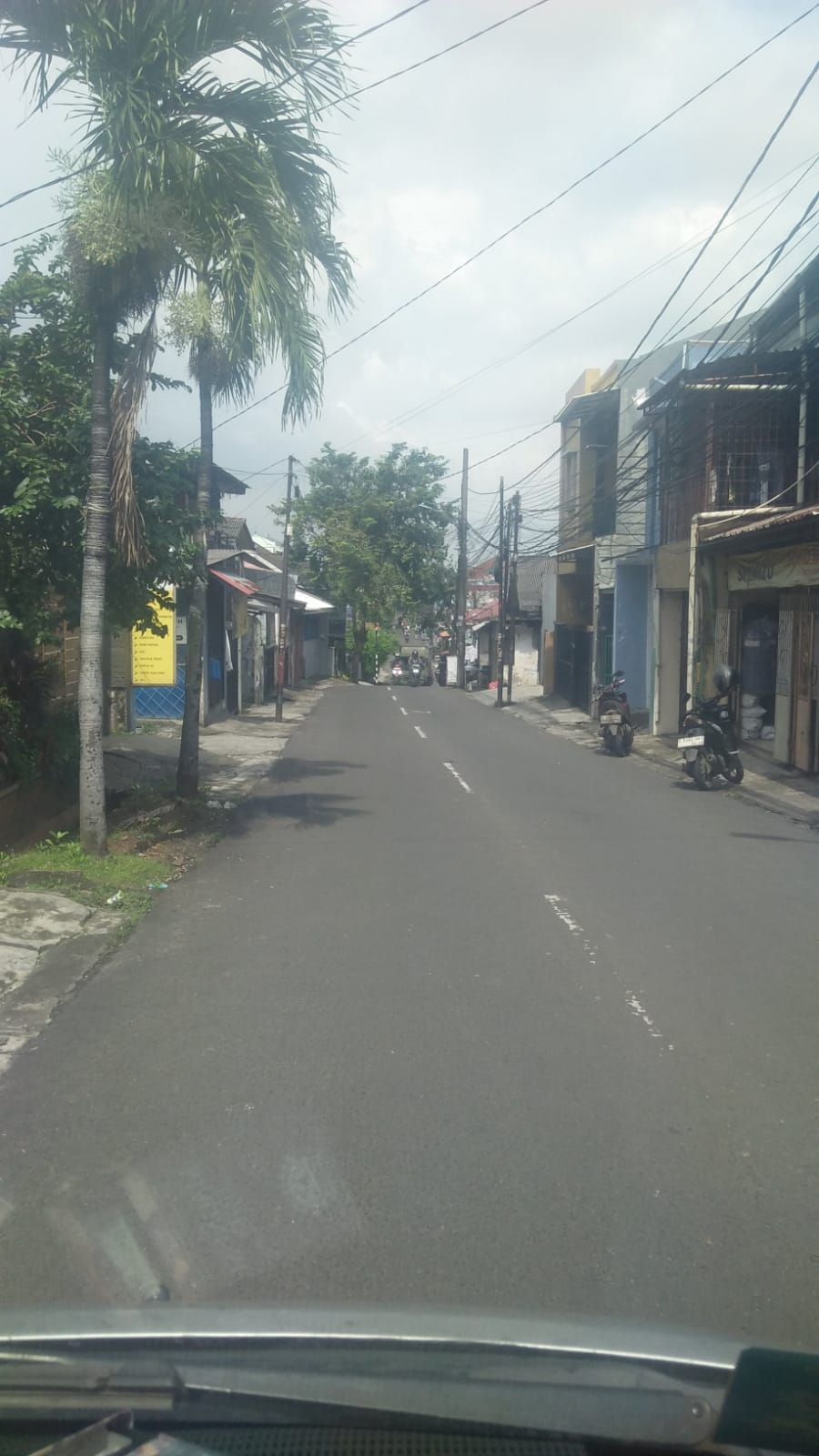 userImage-1