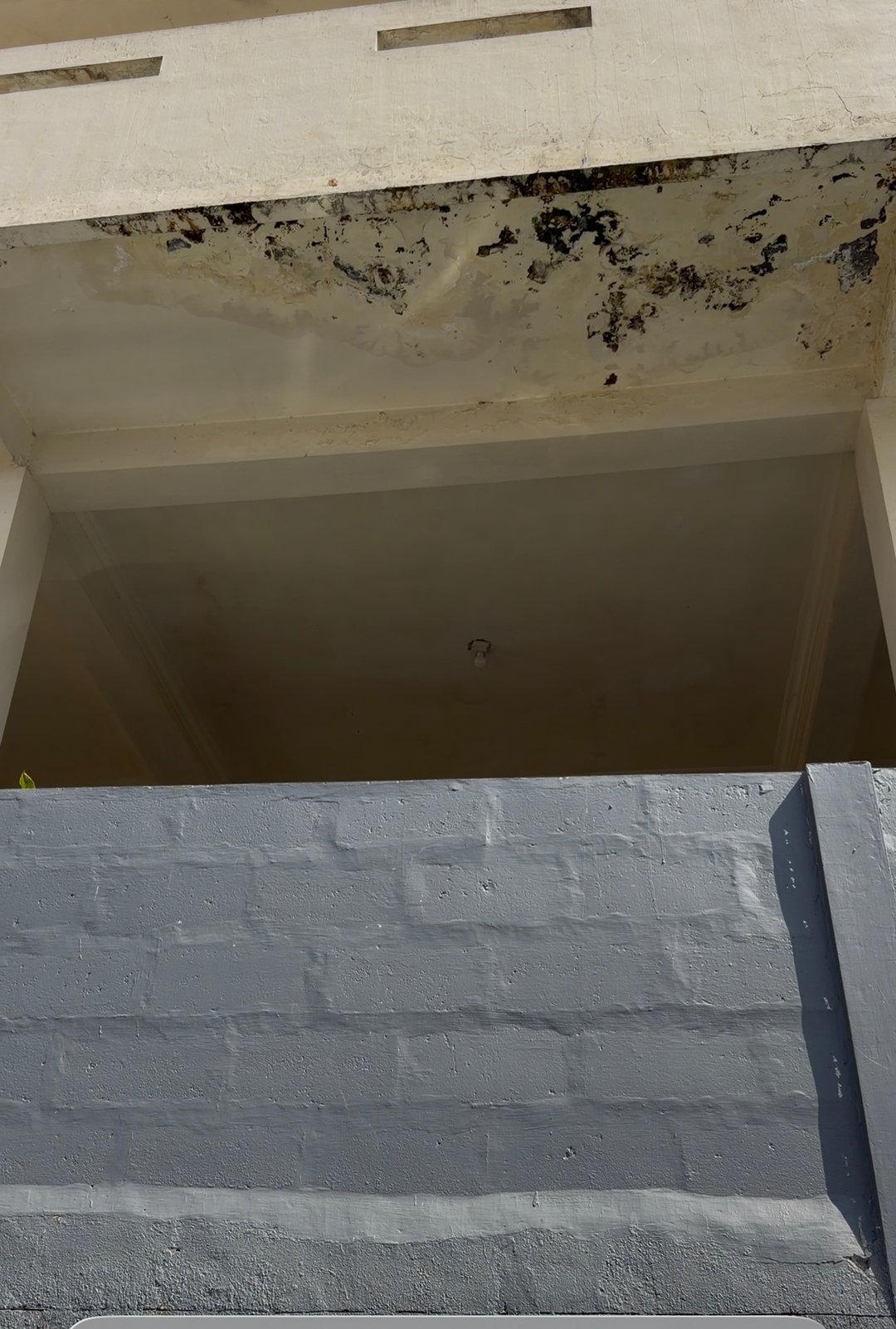 userImage-1
