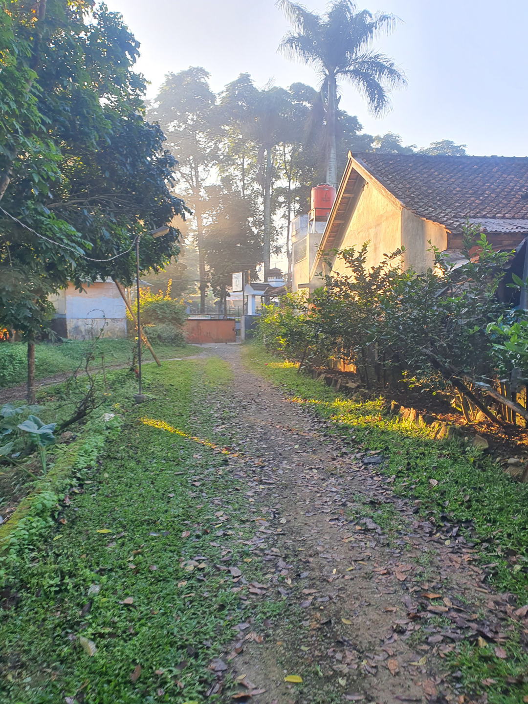 userImage-5