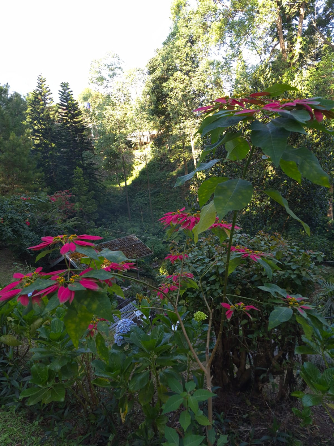 userImage-3