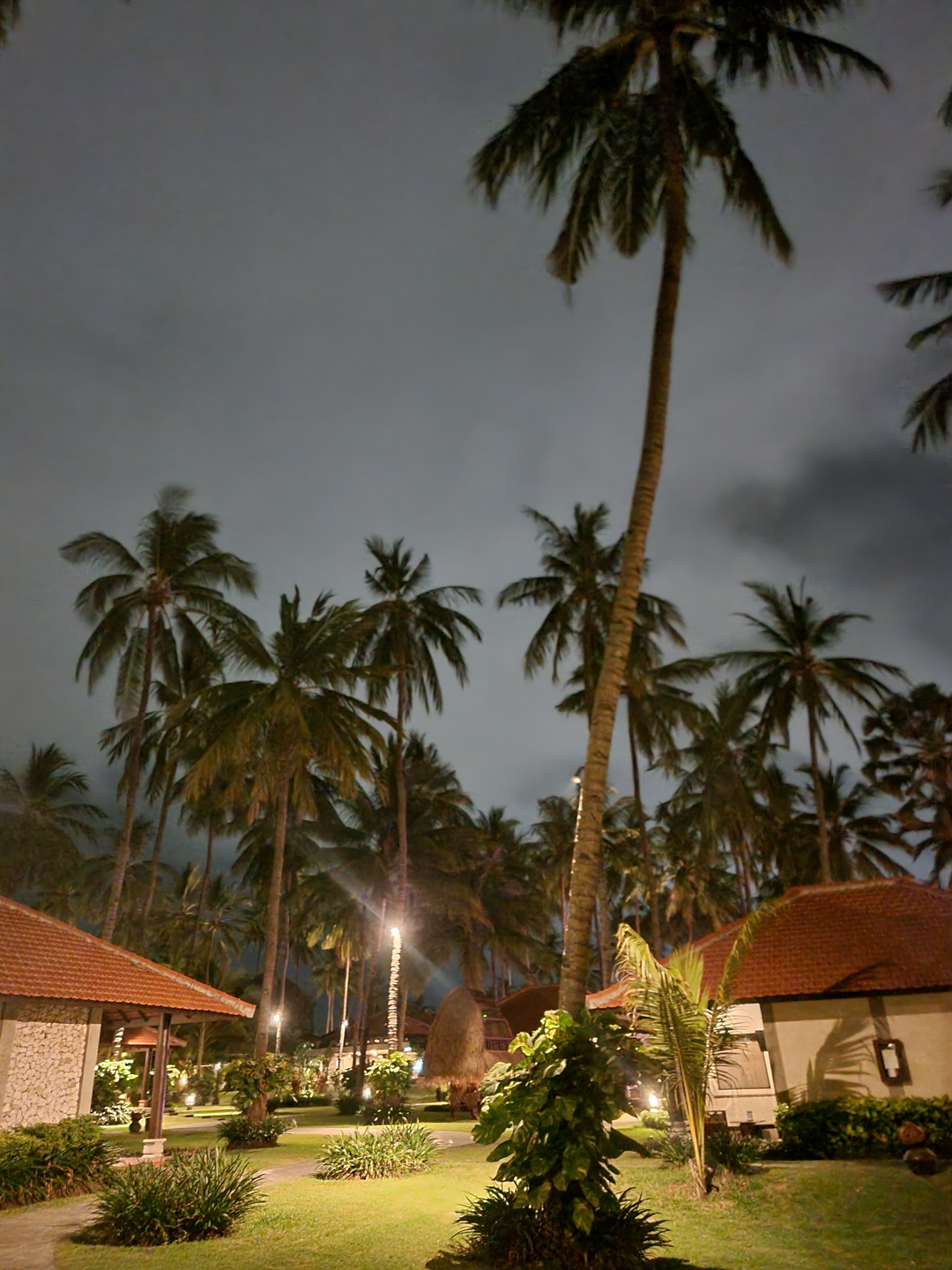userImage-2