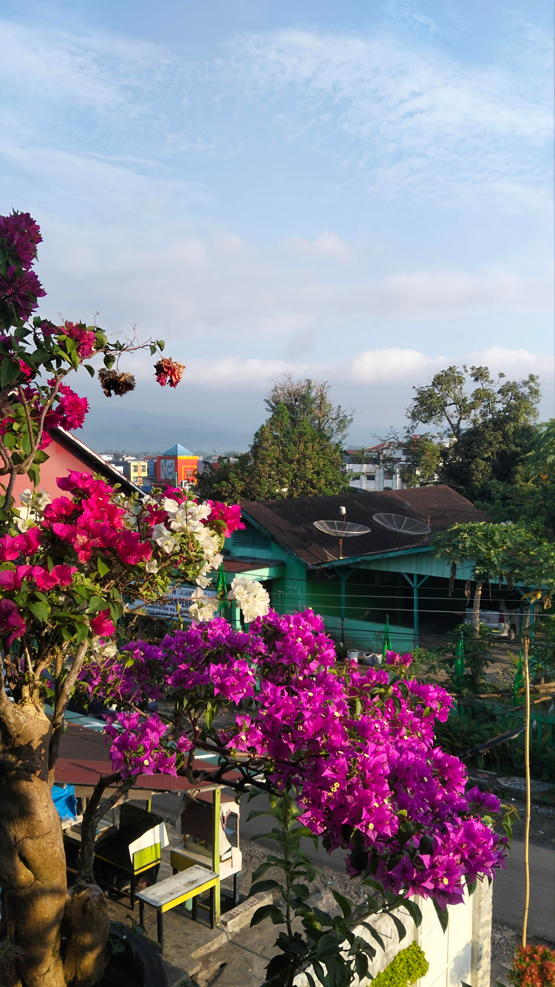 userImage-1