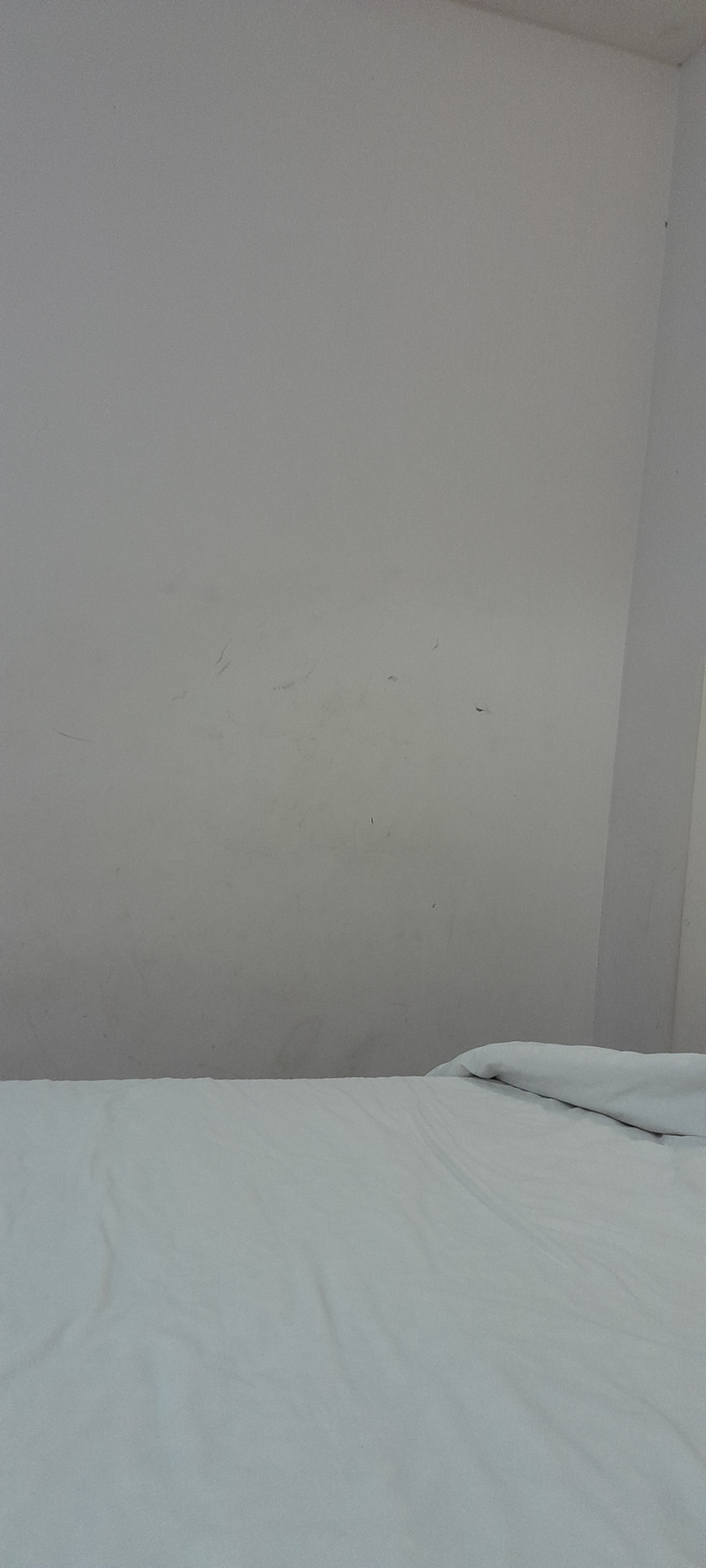 userImage-1