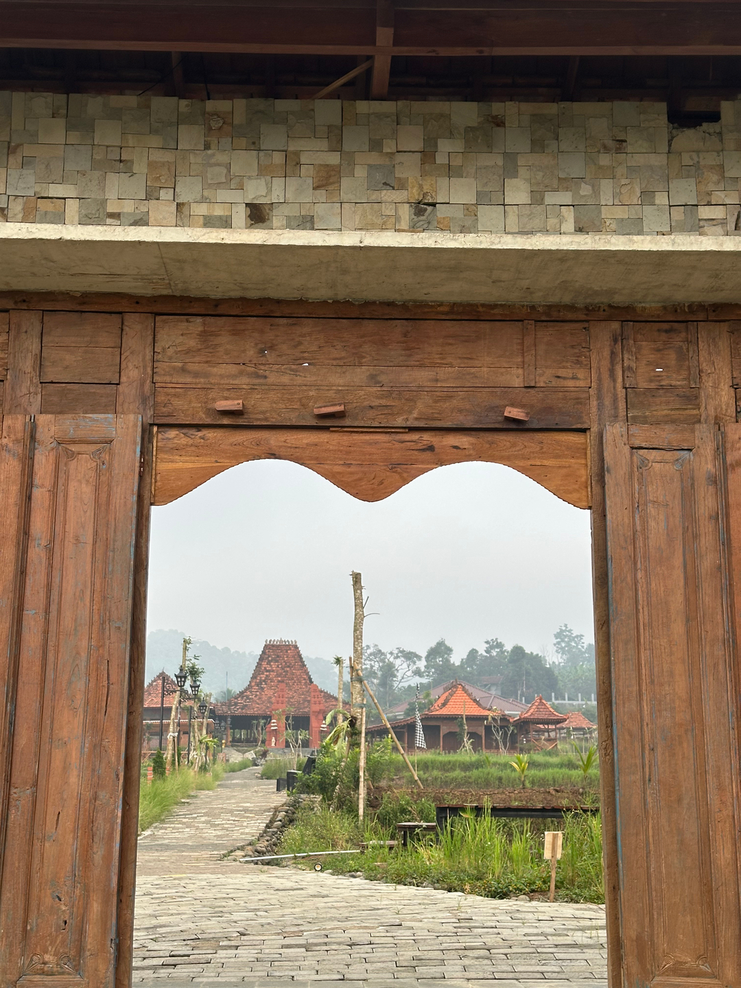 userImage-1