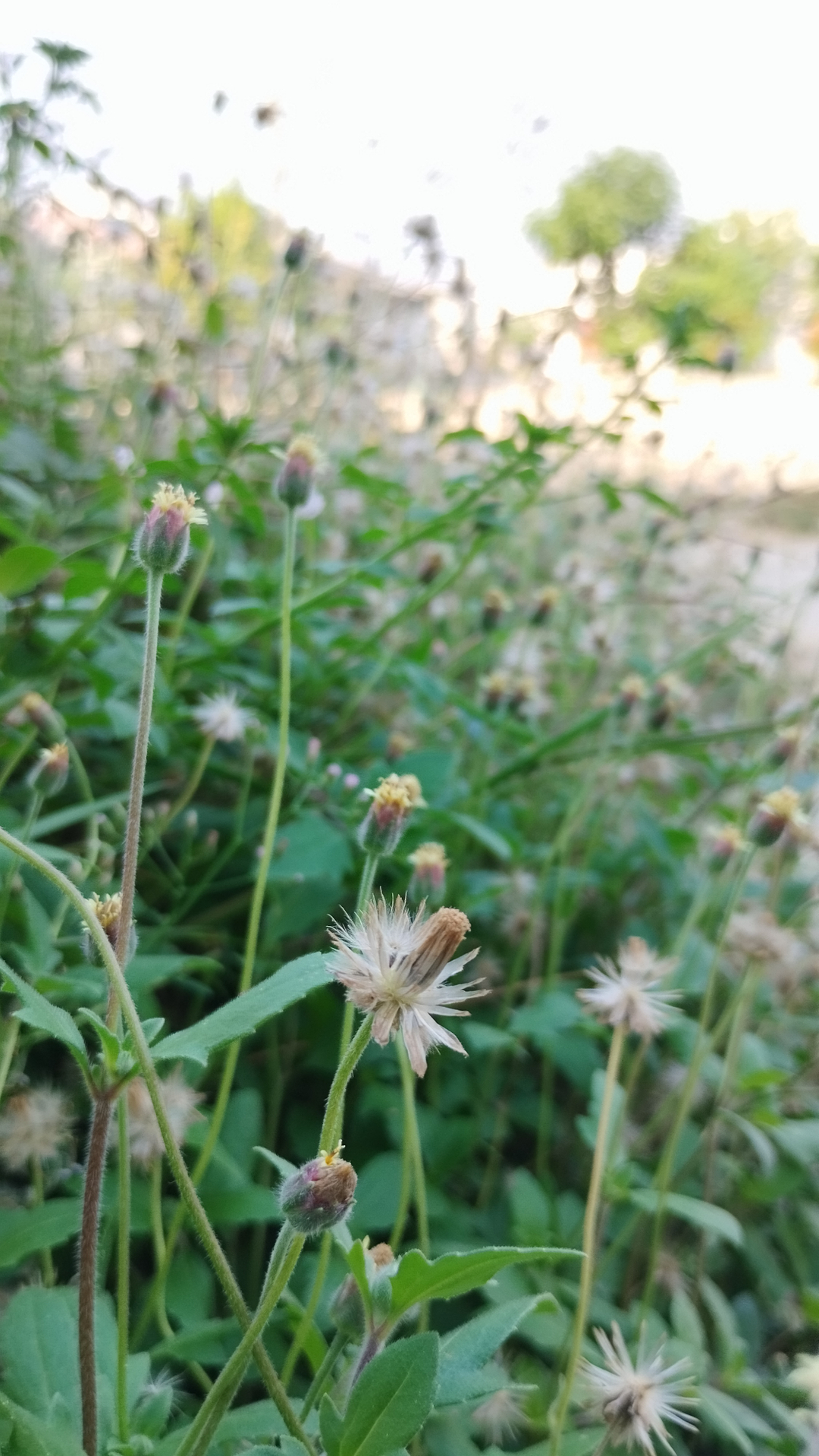 userImage-3