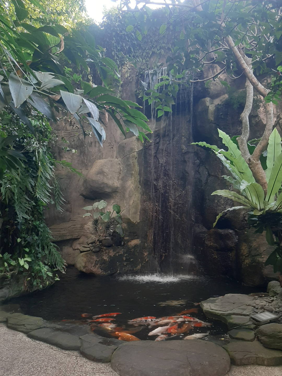 userImage-3
