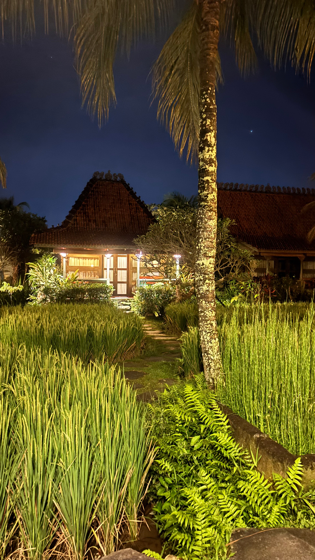 userImage-1