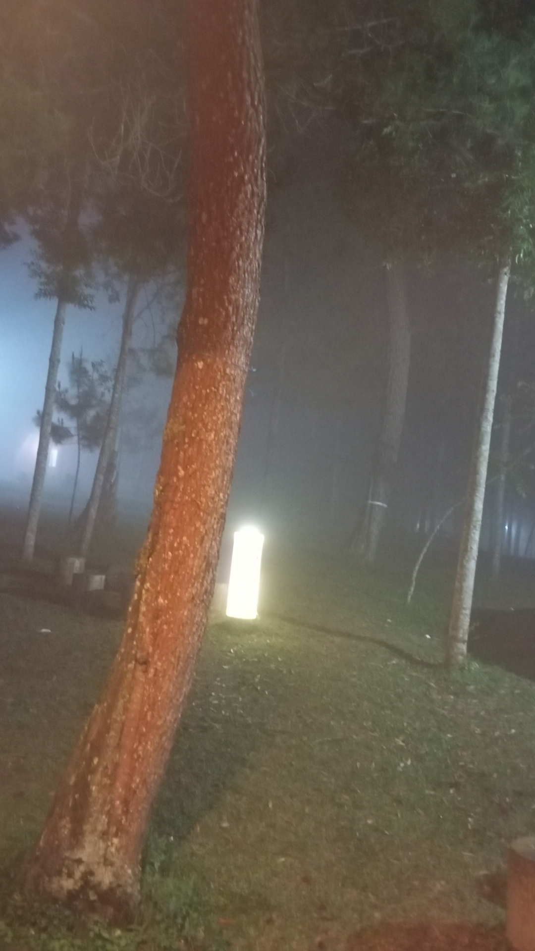 userImage-3