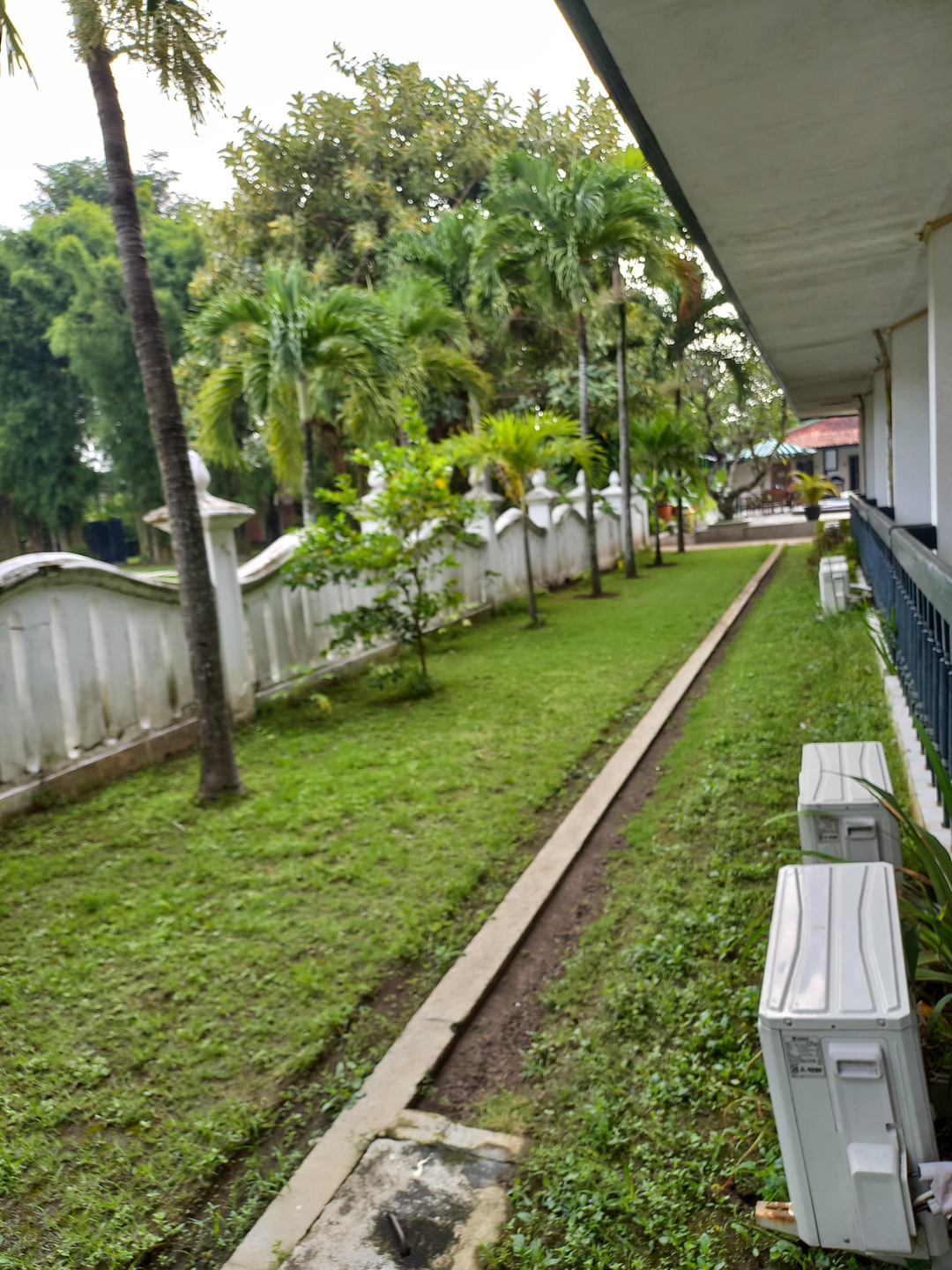 userImage-1