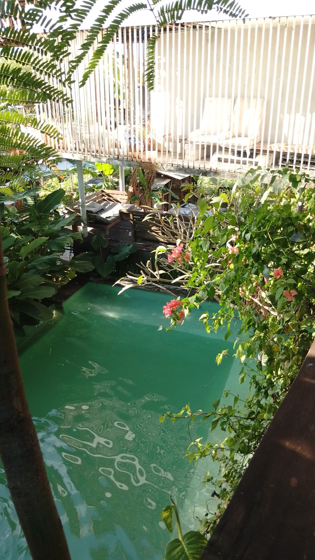 userImage-12