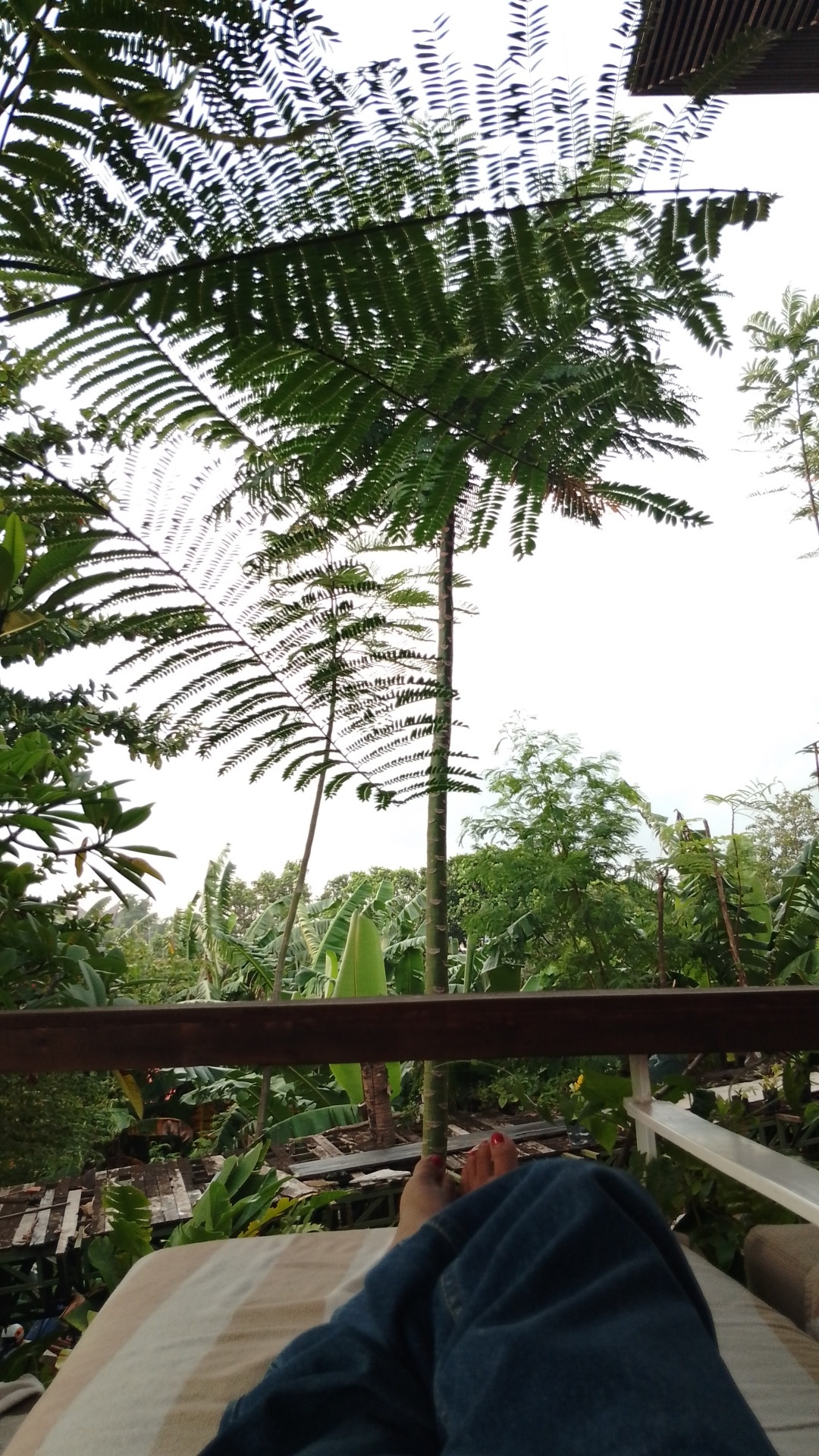 userImage-13
