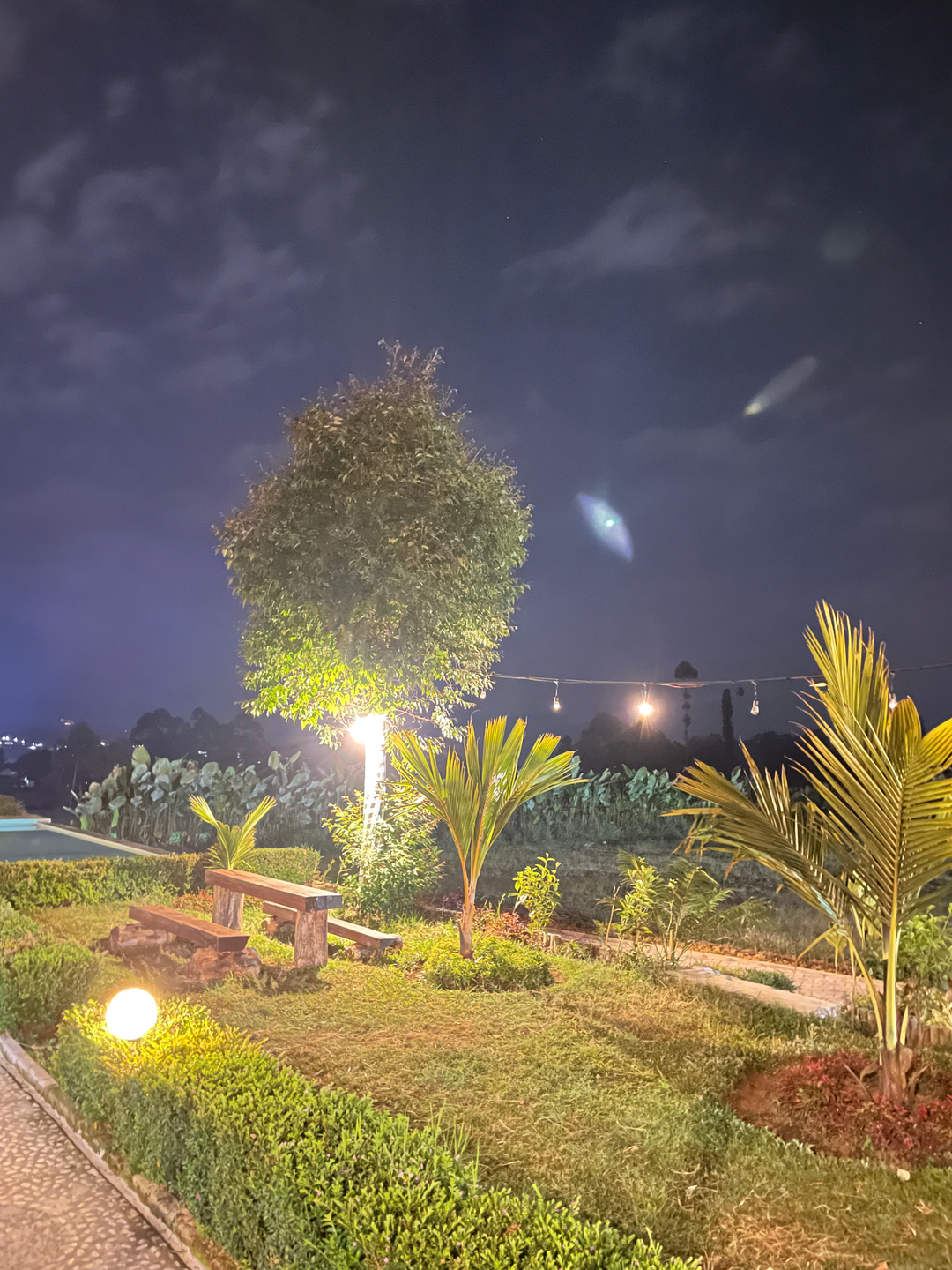 userImage-1