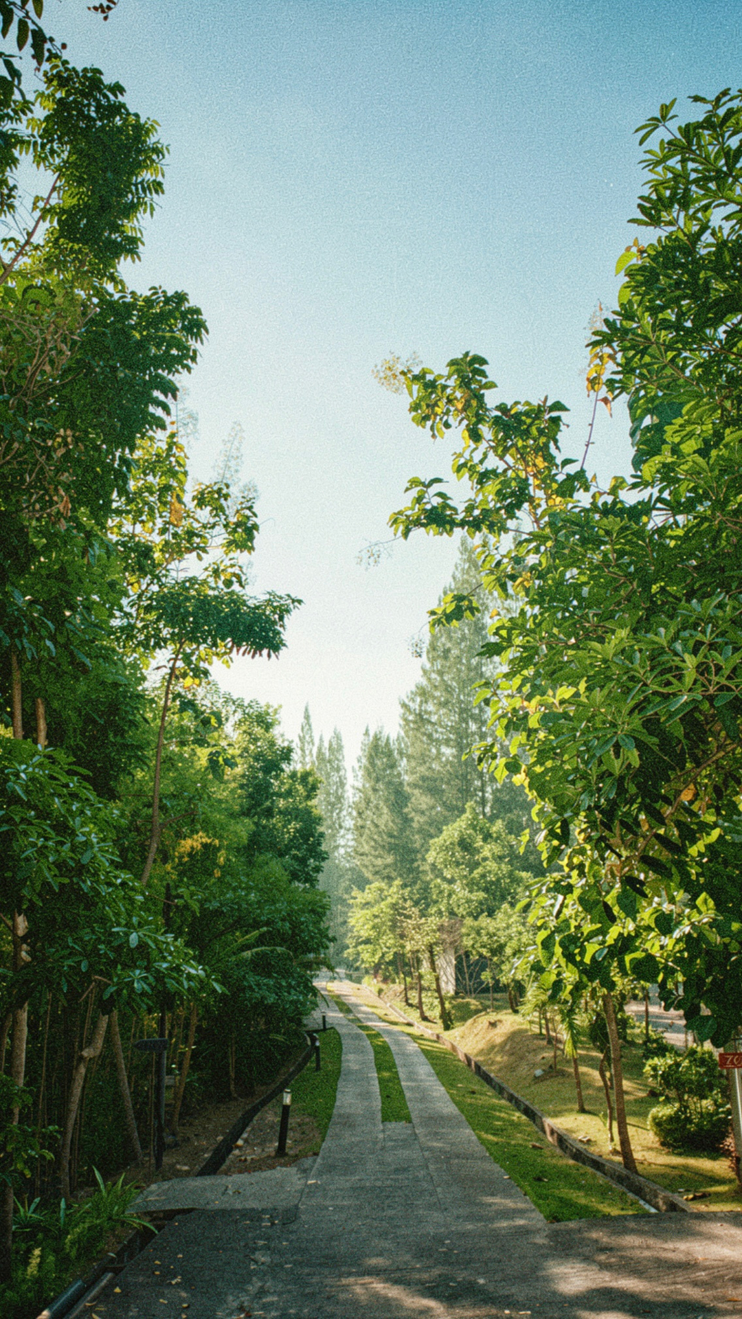 userImage-0