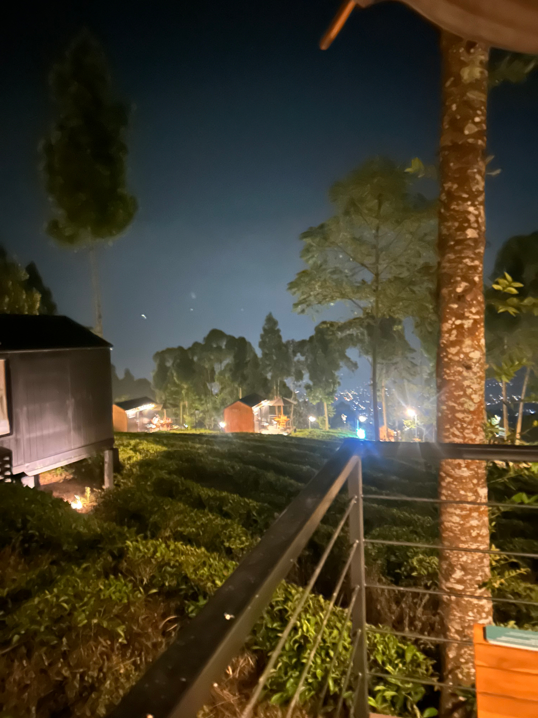 userImage-0