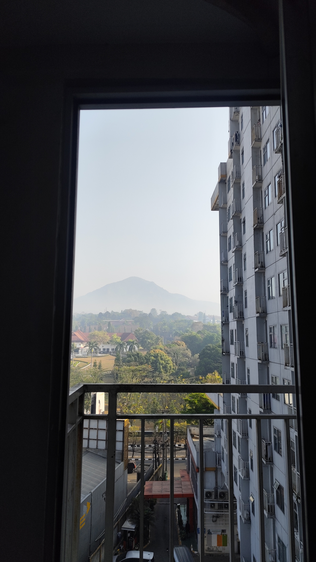 userImage-1