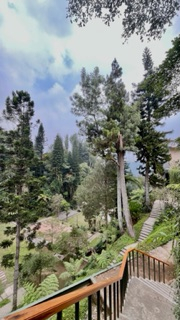 userImage-0