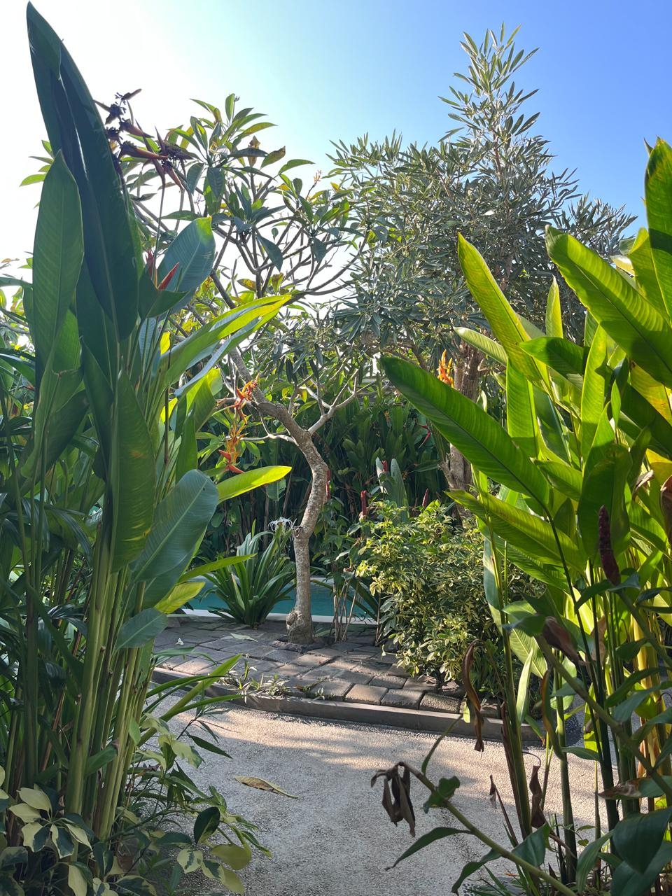 userImage-1