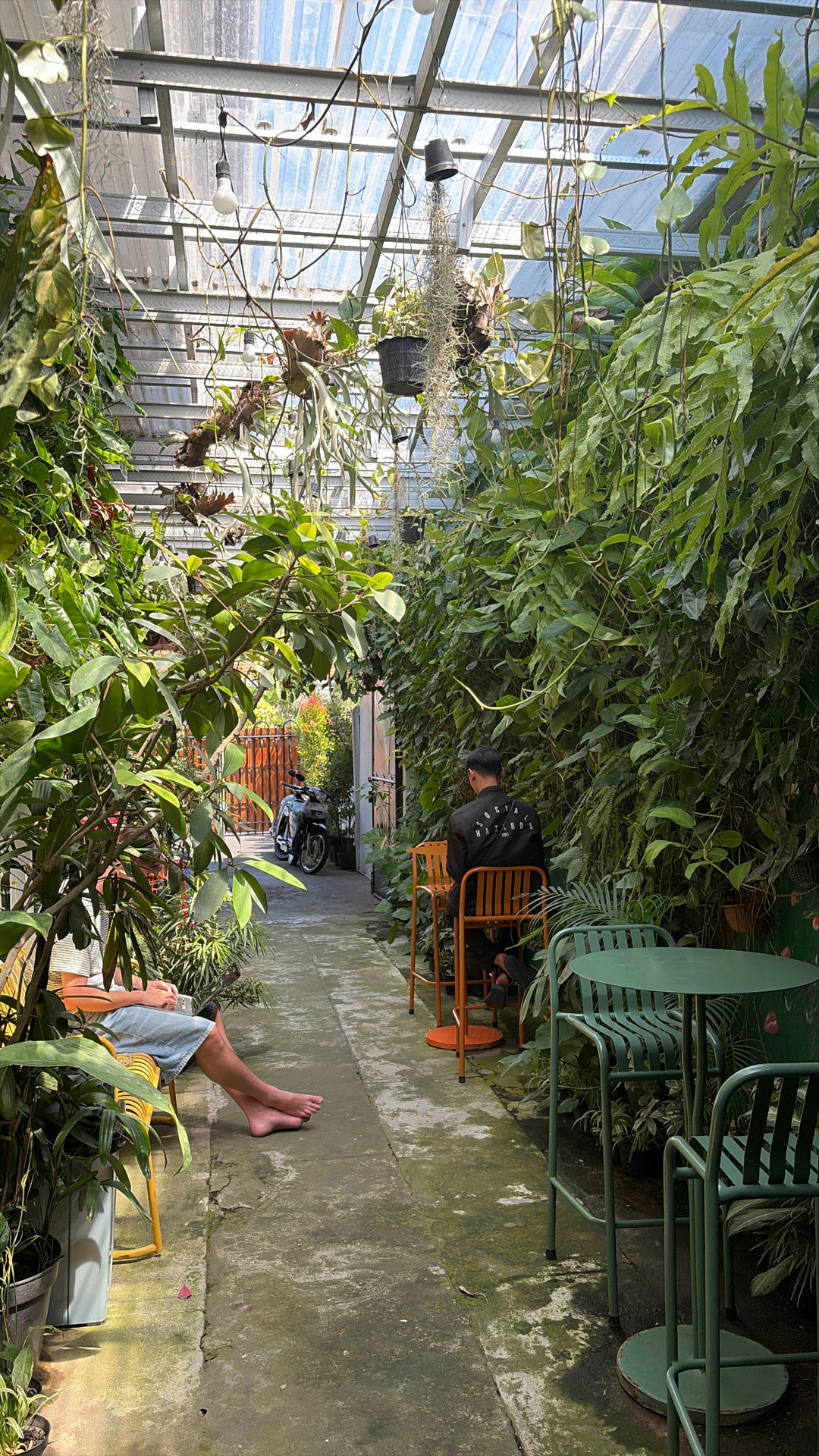 userImage-12