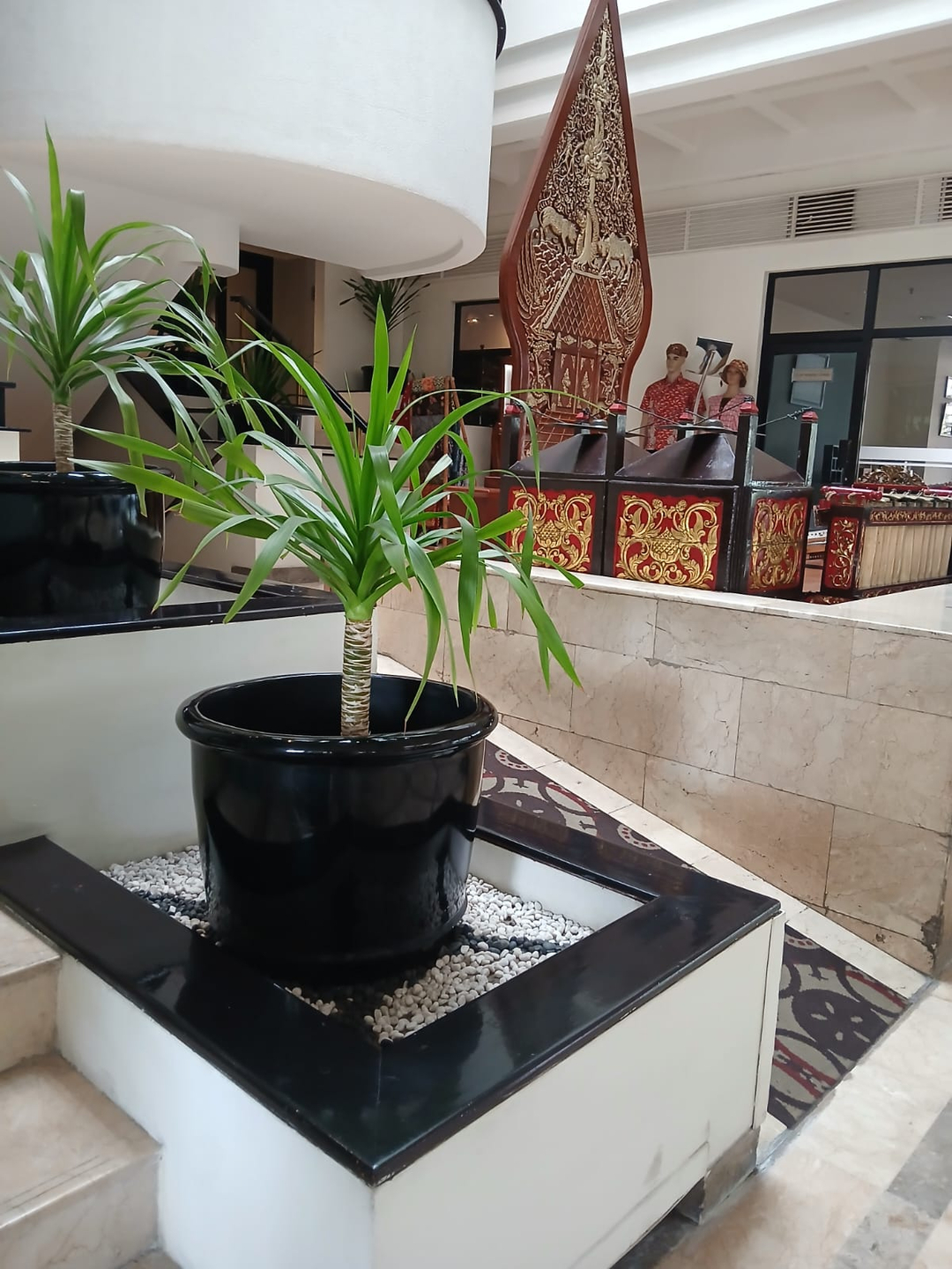 userImage-9